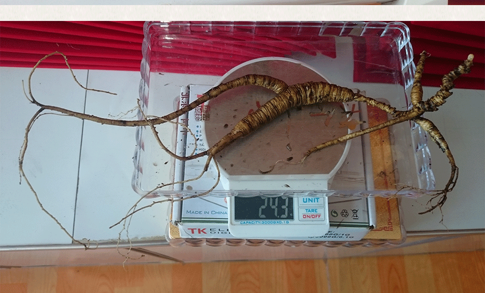 產(chǎn)品展示_10