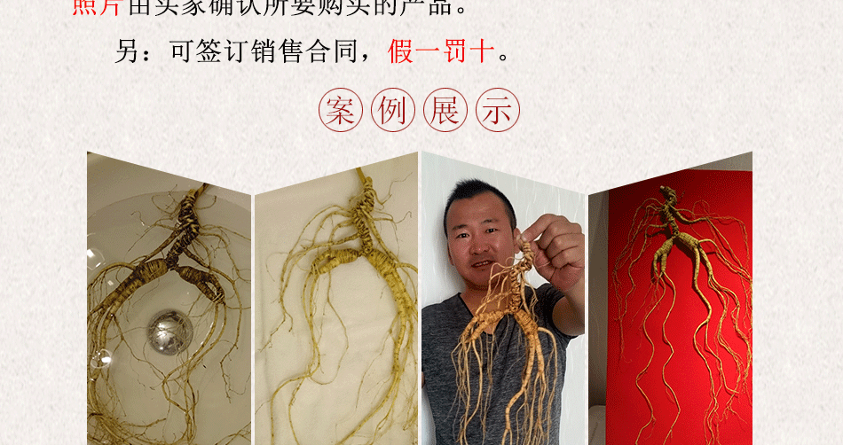 殘150年以上野山參_23