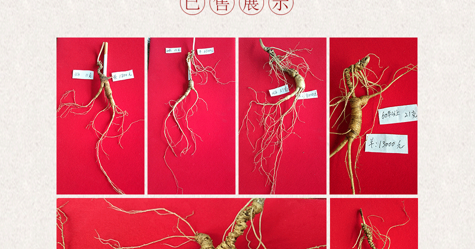 殘150年以上野山參_25