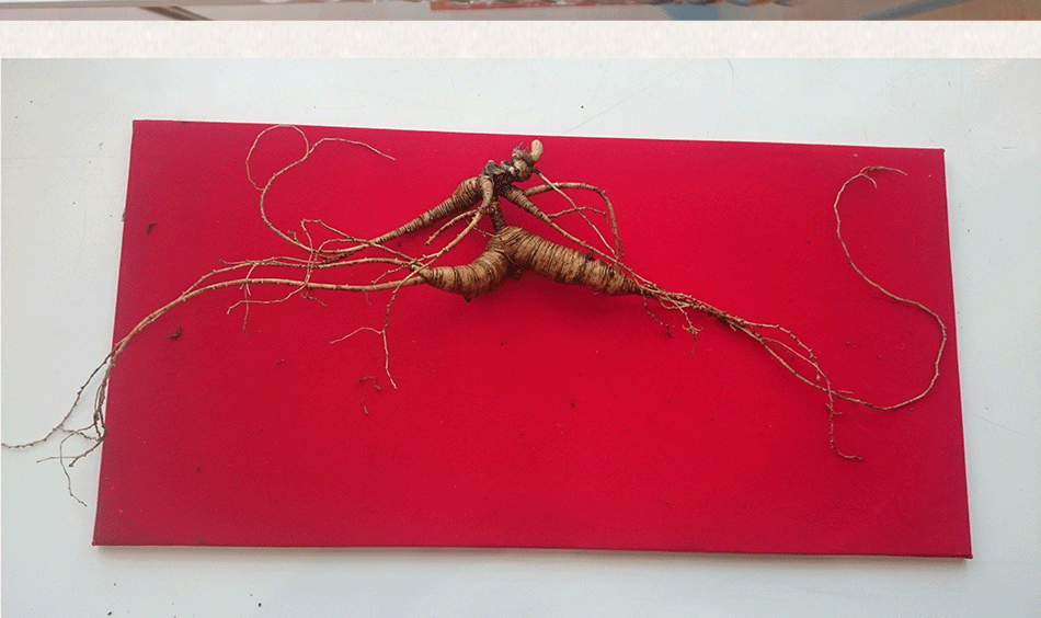 產(chǎn)品展示_05