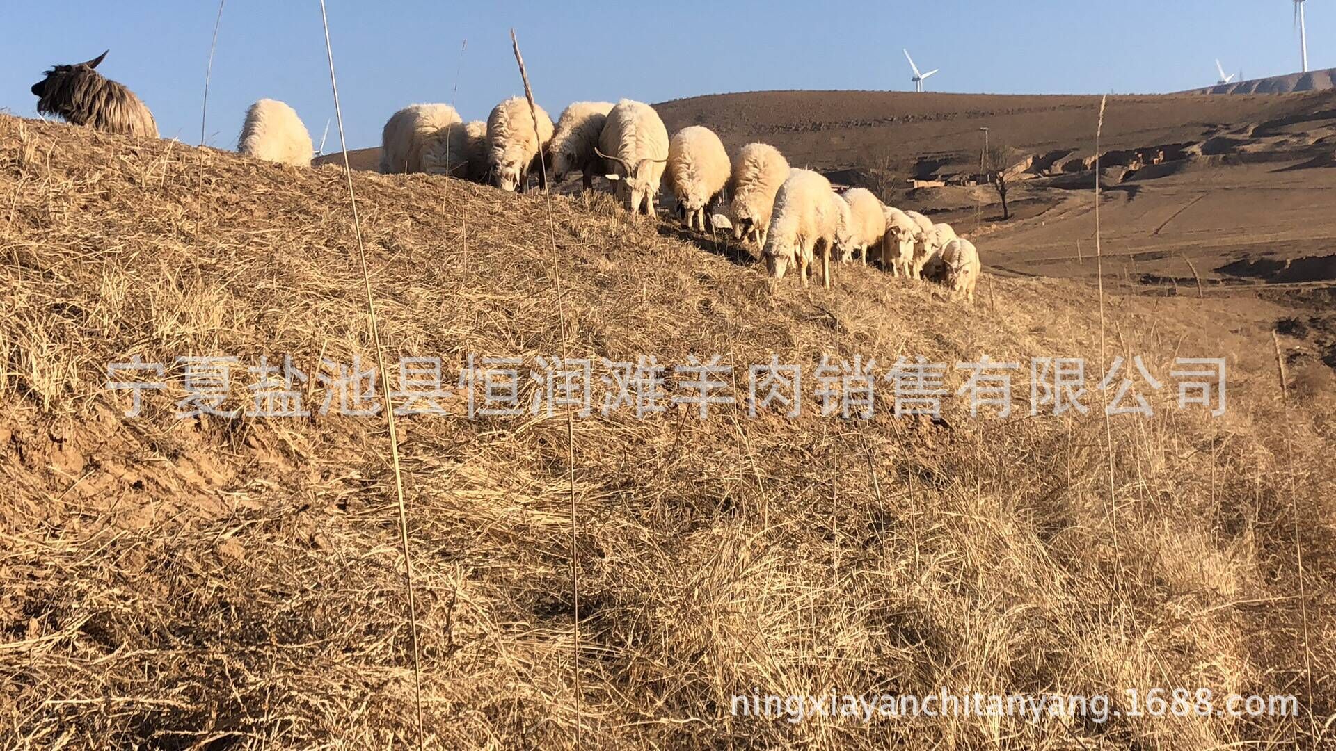 QQ圖片20180425190554