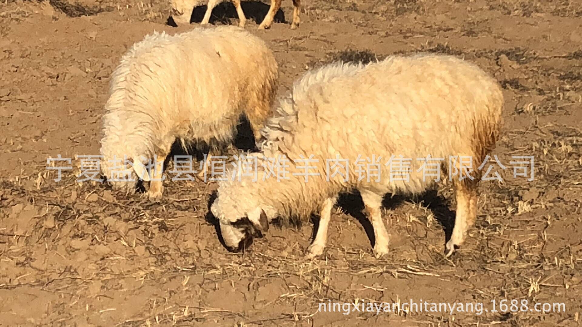 QQ圖片20180425190609