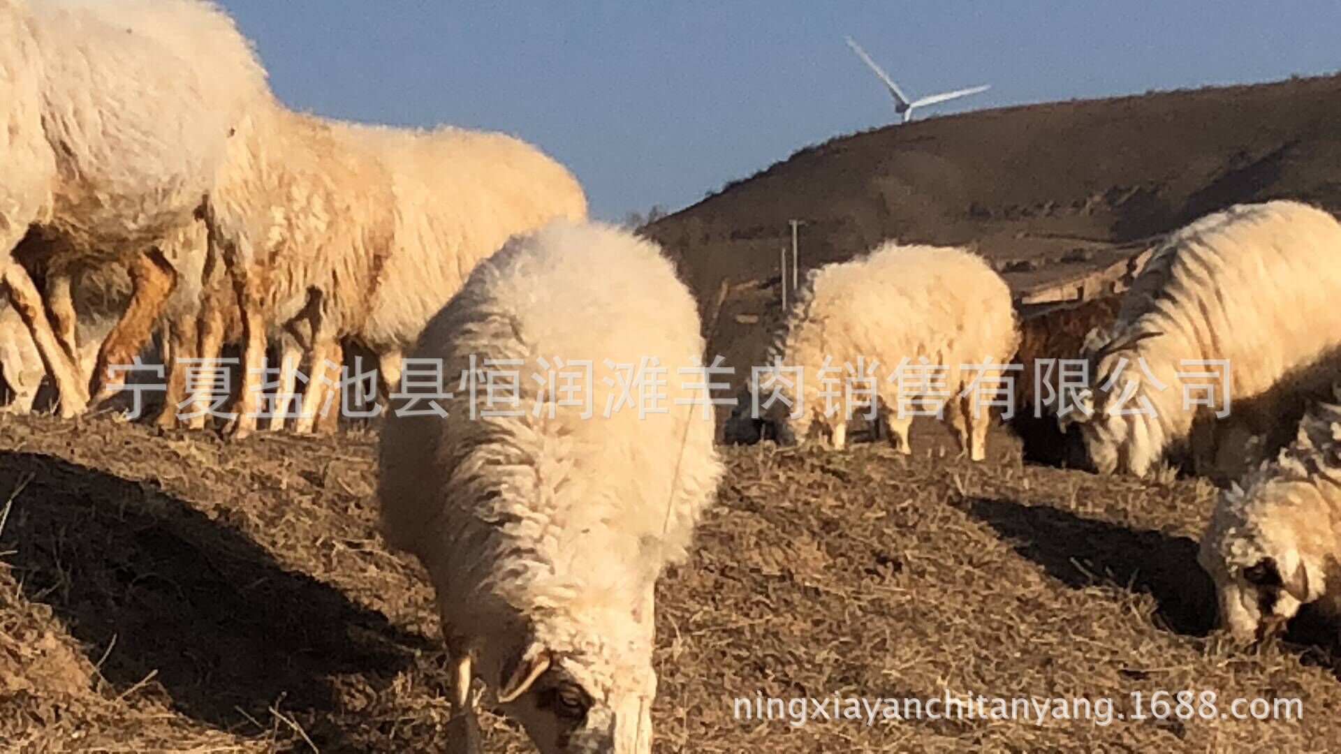 QQ圖片20180425190559