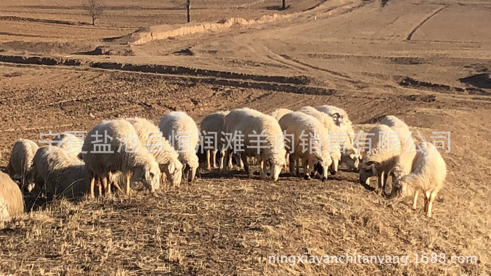 QQ圖片20180425190606