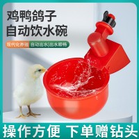 廠家生產(chǎn)跨境供貨家禽飲水碗 雞飲水杯 自動(dòng)雞鴨飲水器