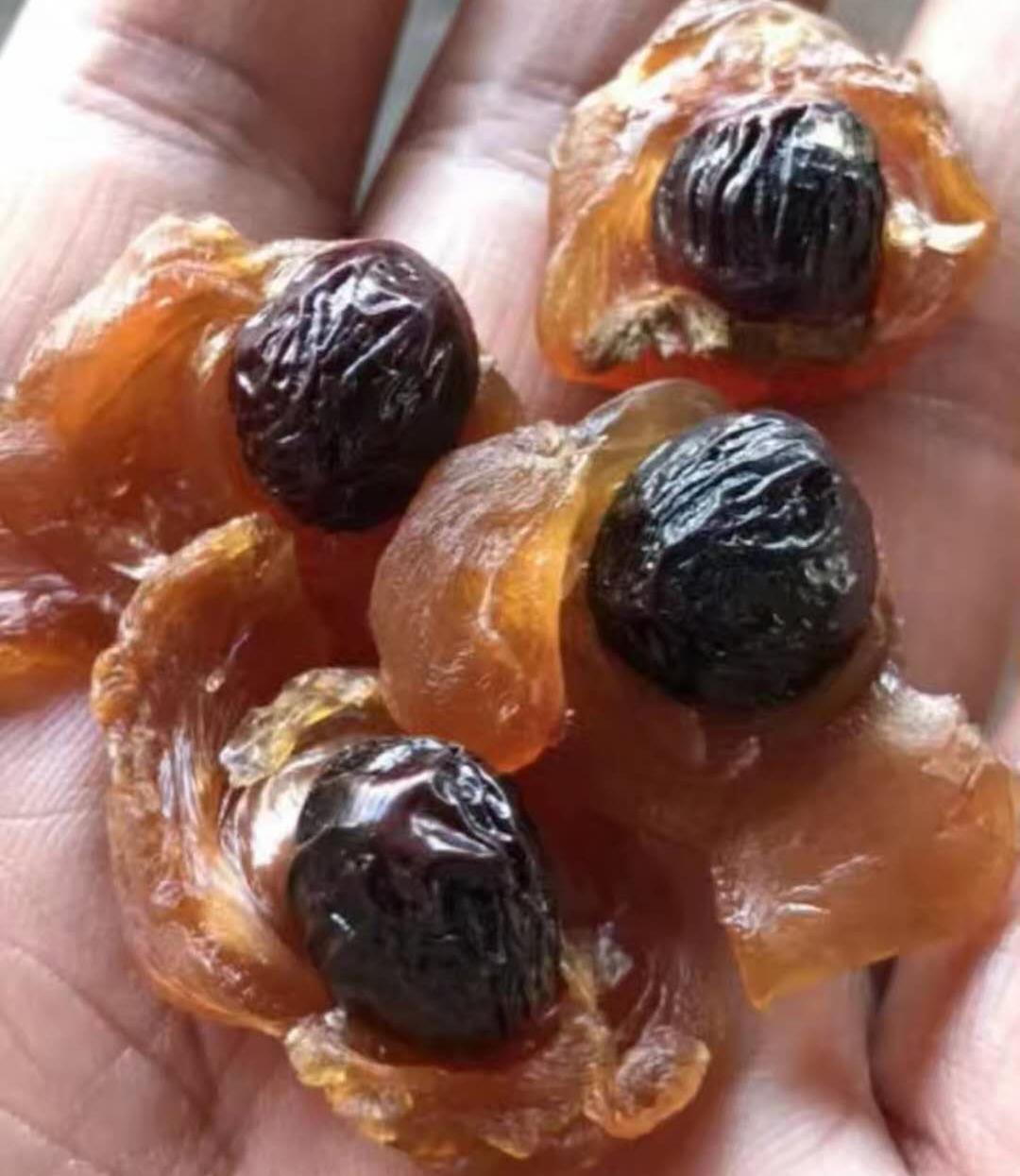 微信圖片編輯_20190614183704