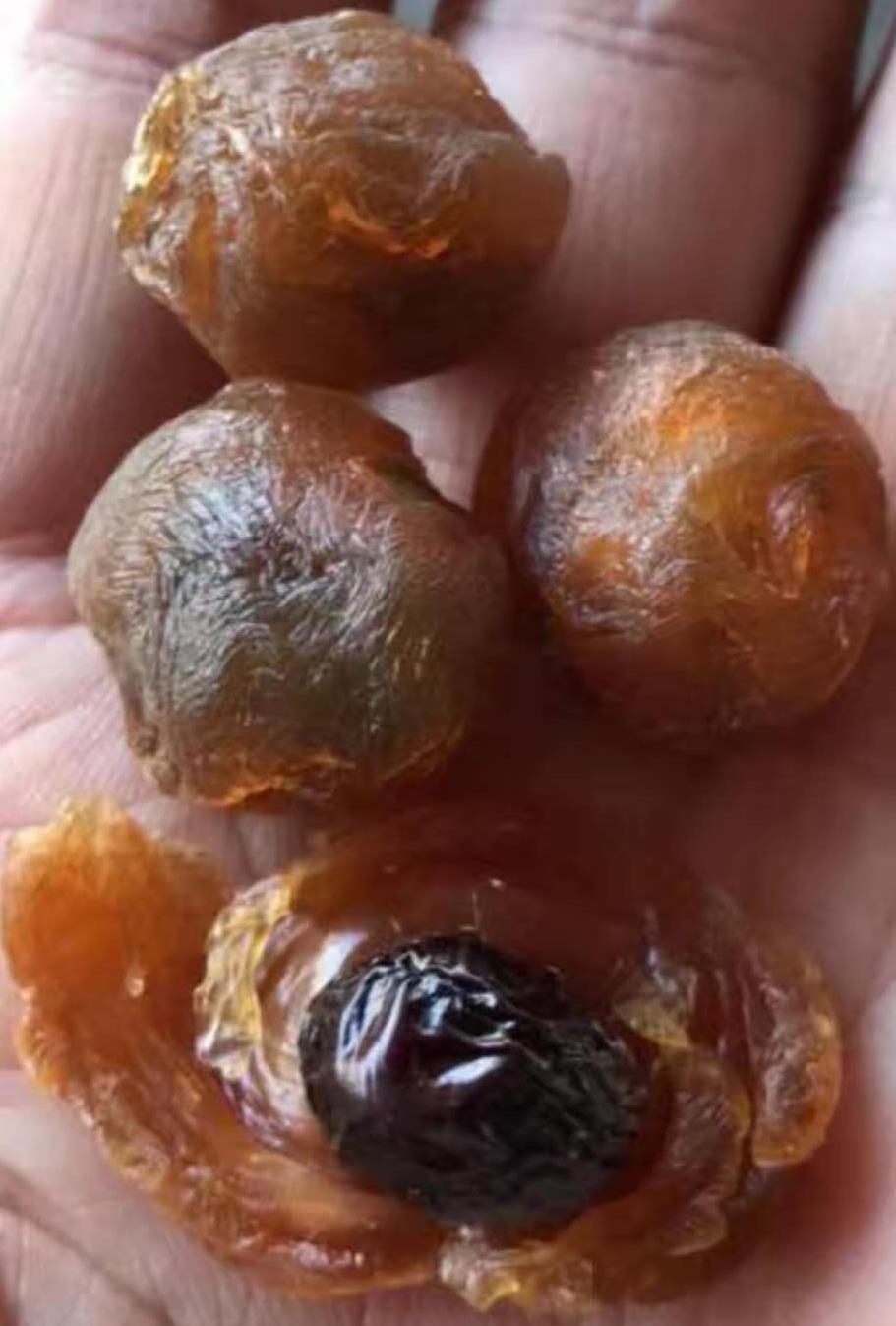 微信圖片編輯_20190614183458