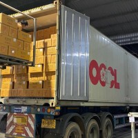 新貨6A空心桂圓肉干大顆燈籠無(wú)核桂圓干500g散裝 桂圓肉干 龍眼肉