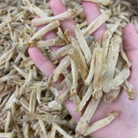 500g批發(fā)沙蟲(chóng)北海沙蟲(chóng)無(wú)沙小沙蟲(chóng)海鮮干貨海產(chǎn)品海味