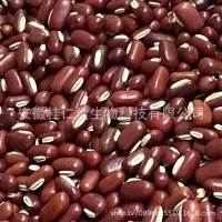批發(fā)散裝新貨五谷雜糧赤小豆直供藥食同源長粒赤小豆 量大價優(yōu)