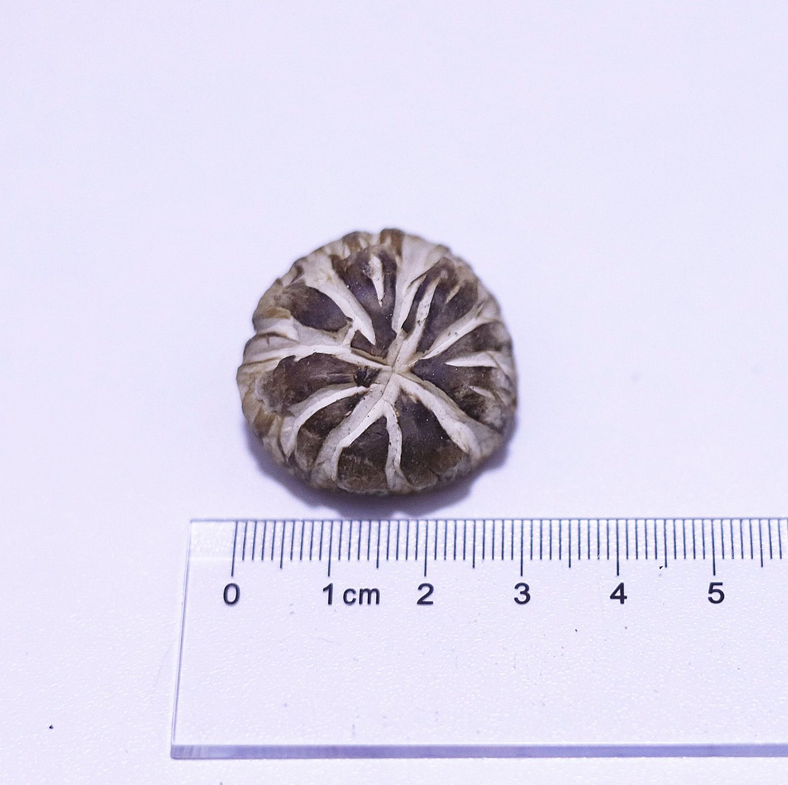 微信圖片_2021040814343126_副本