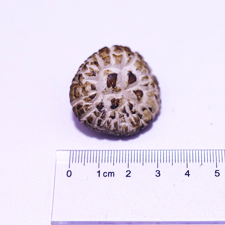 微信圖片_2021040814343128_副本