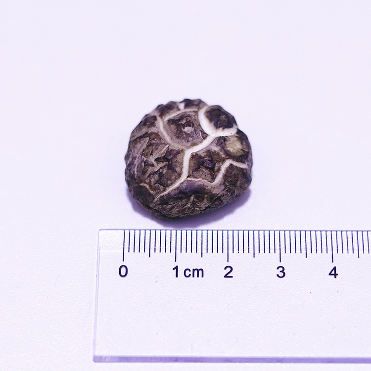 微信圖片_2021040814343125_副本