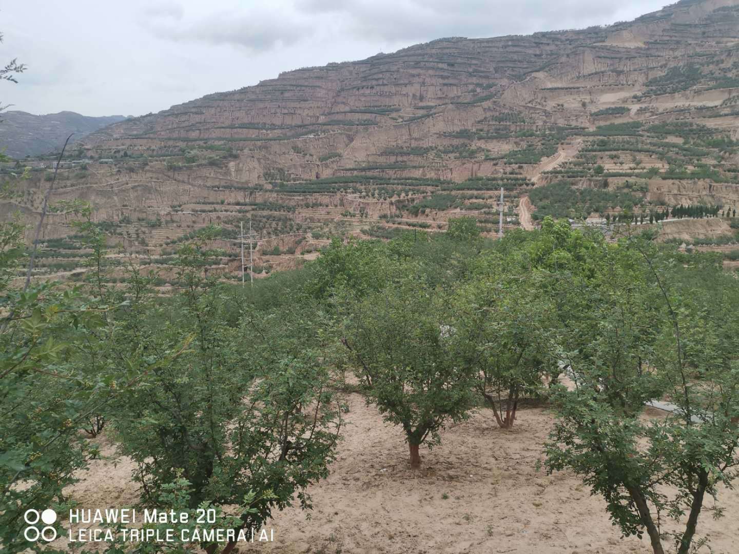 微信圖片_20190517215323