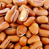 2020年新貨東北開口松子 10斤/箱