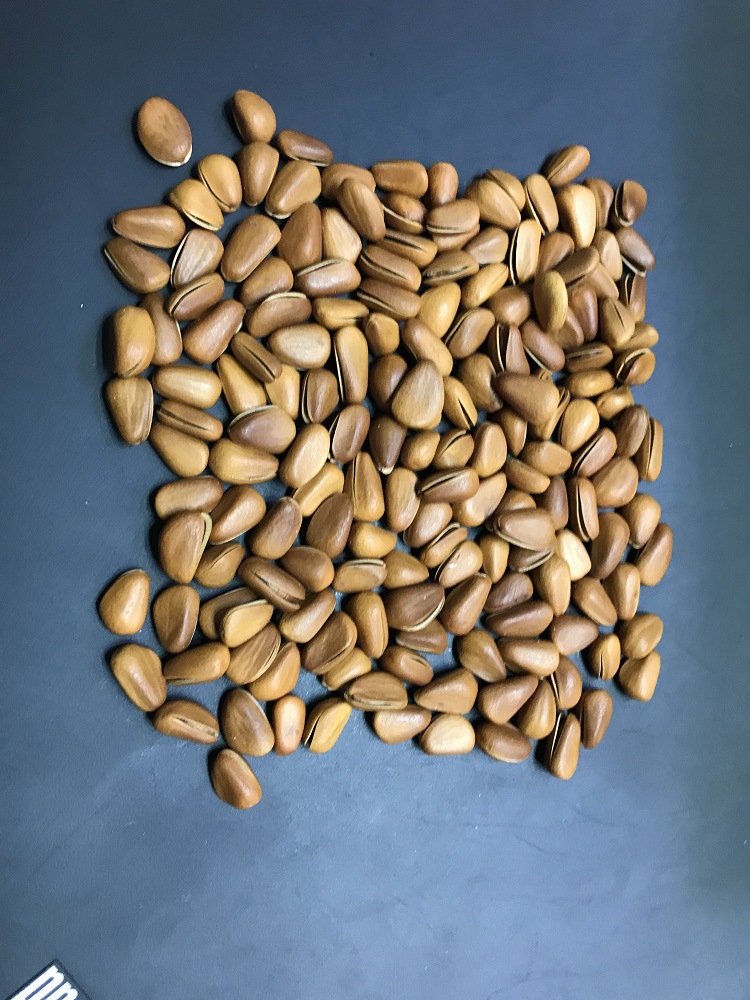 微信圖片_20190111133546