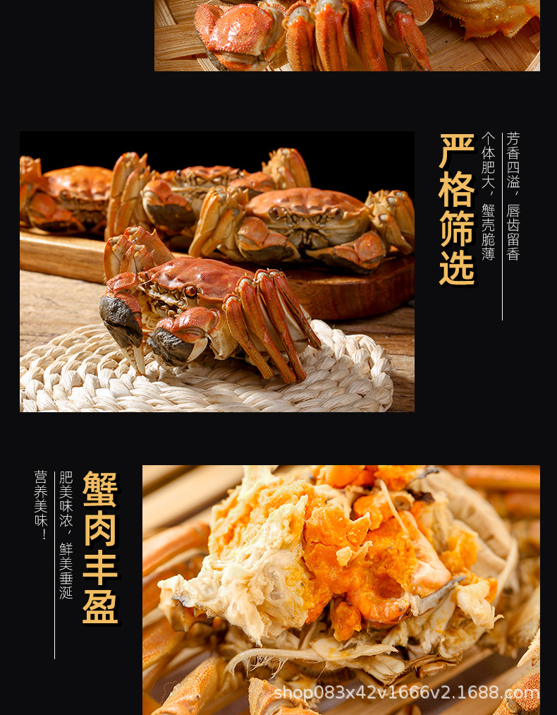 大閘蟹_09.jpg
