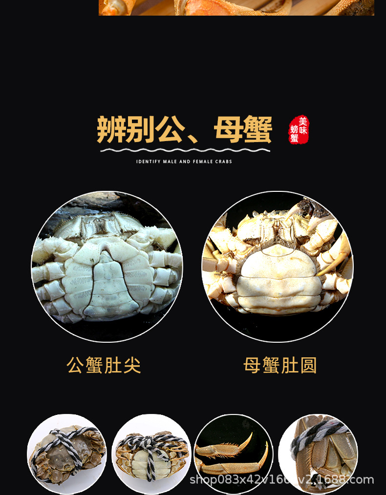大閘蟹_10.jpg