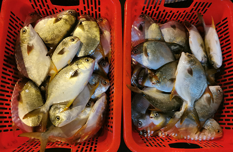 微信圖片_20200812133638