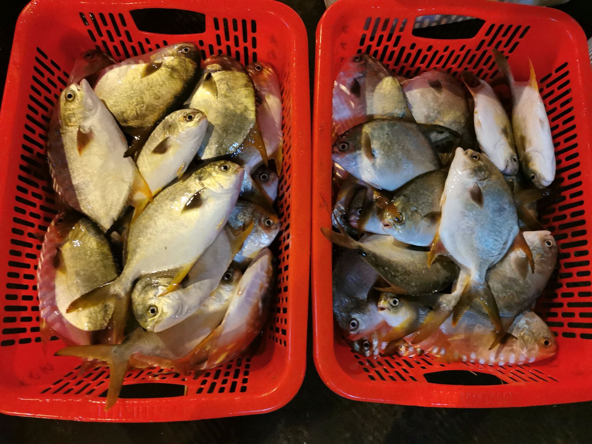 微信圖片_20200812133638