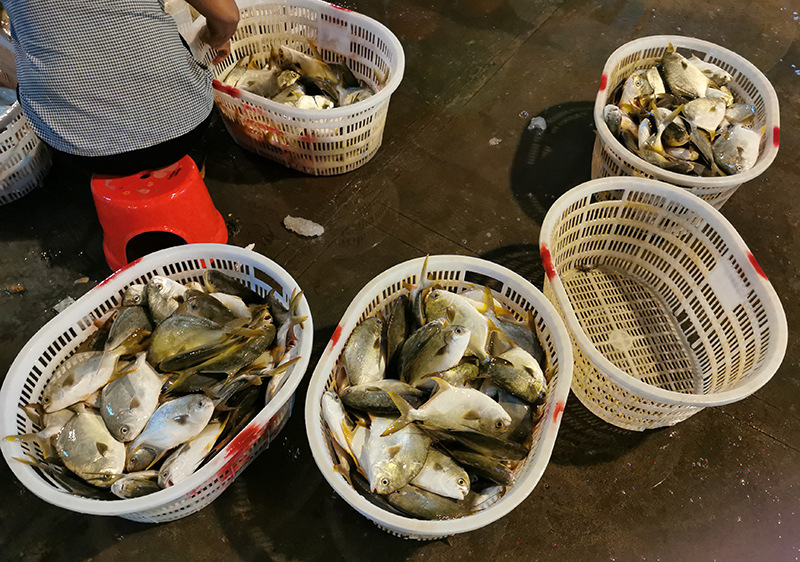 微信圖片_20200813001316