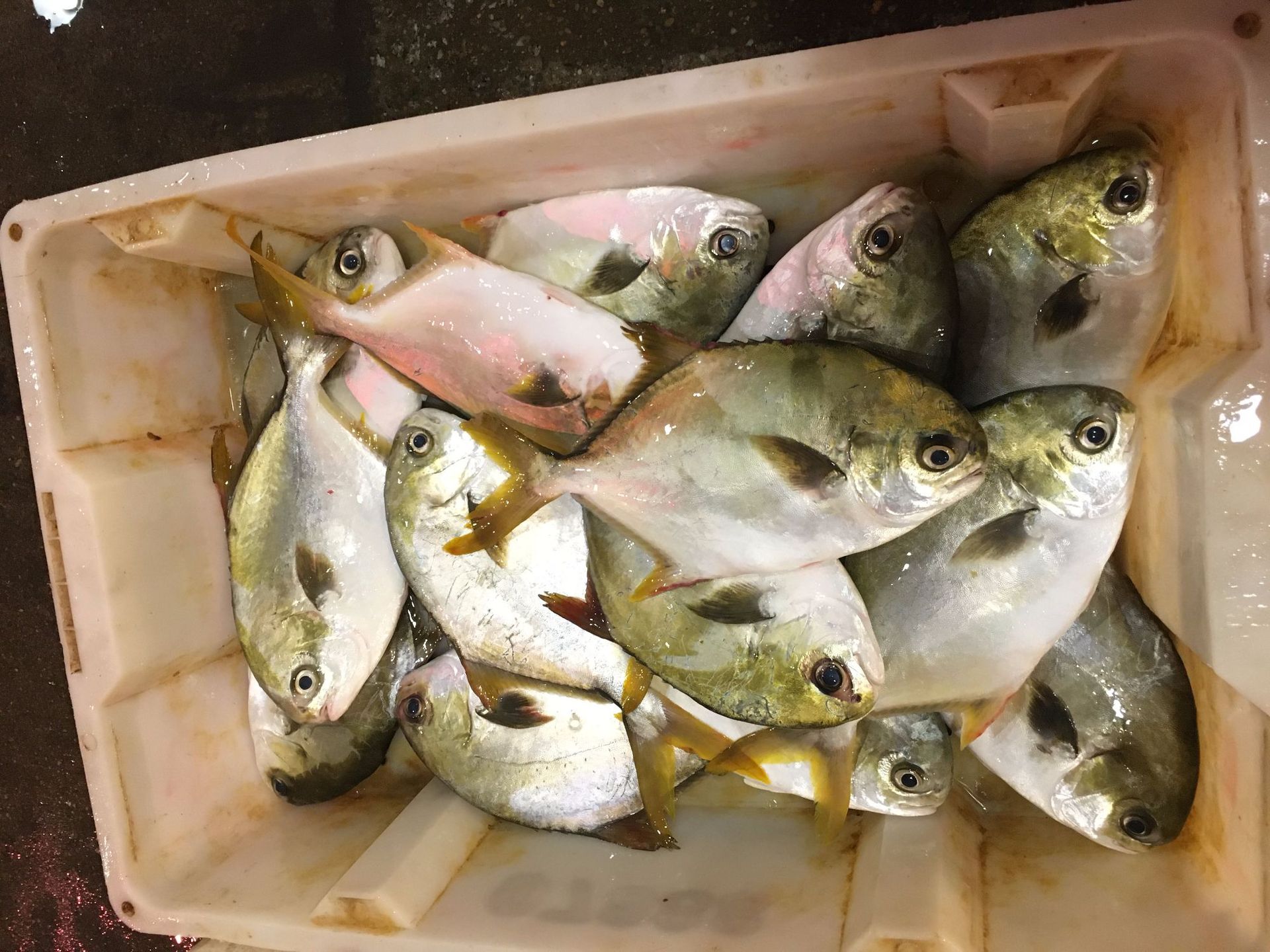 微信圖片_20200611115533