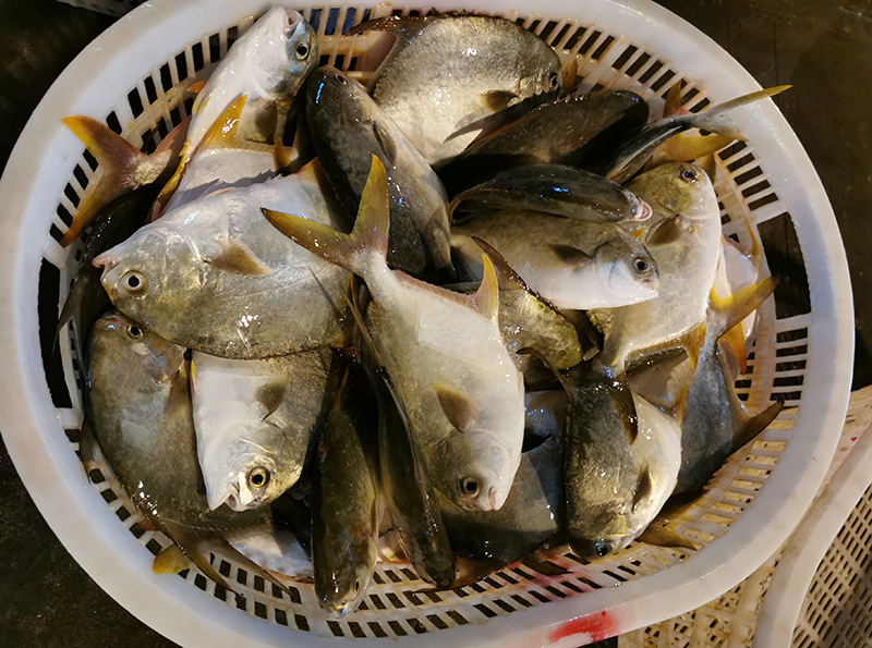 微信圖片_20200812133633