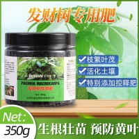 發(fā)財樹用肥料 家庭有機花肥 山東廠家批發(fā) 可用于黃葉爛根復(fù)合肥