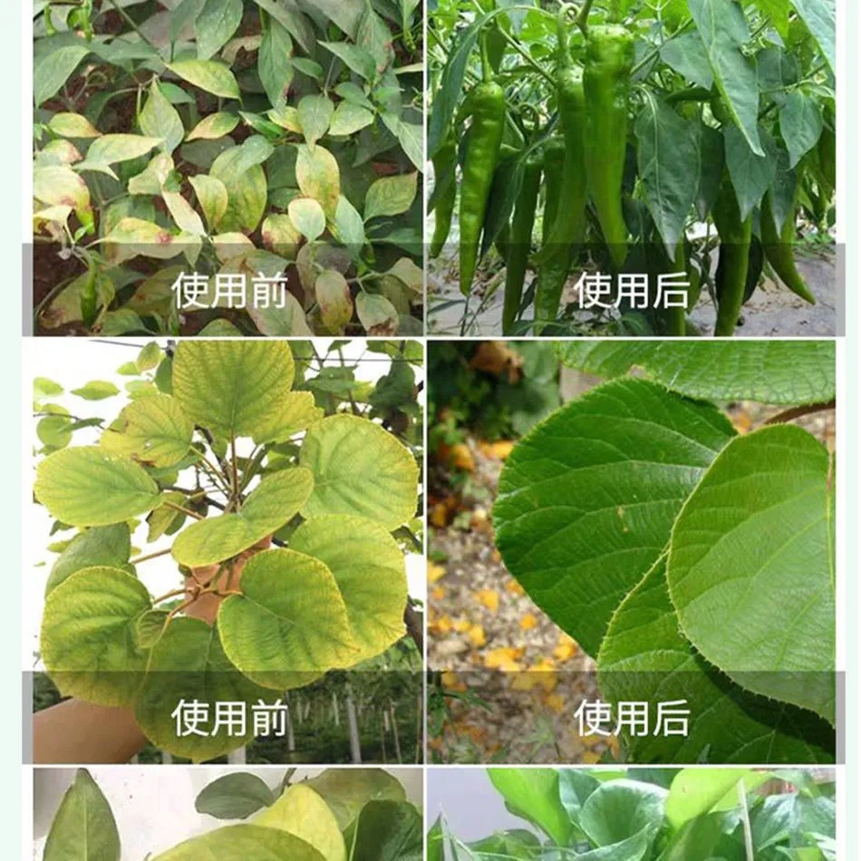 微信圖片_20210517181944