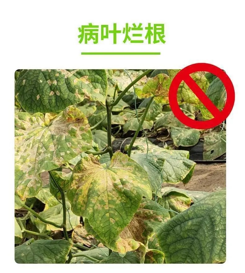 微信圖片_20210517181958