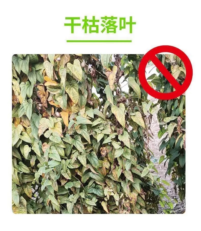 微信圖片_20210517182010