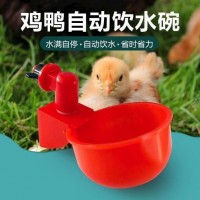 家禽自動(dòng)飲水碗 自動(dòng)雞飲水機(jī)雞飲水杯雞飲水器