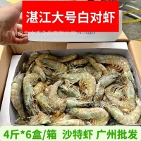 湛江水產大蝦 新鮮冷凍大號白對蝦 沙特蝦海鮮水產對蝦整箱24斤