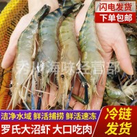 鮮活羅氏沼蝦 淡水大蝦 河蝦 對蝦 大頭蝦海鮮生鮮冷凍大蝦基圍蝦