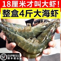順豐包郵大蝦鮮活超大青島大青蝦冷凍鮮對蝦速凍海蝦蝦類海鮮水產