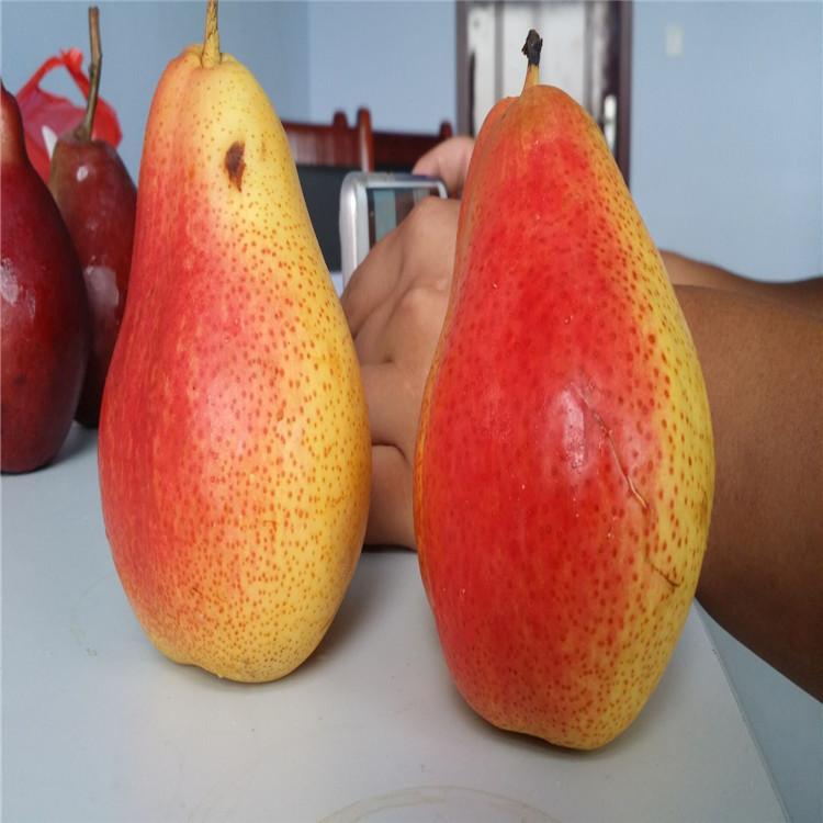 QQ圖片20160727081133