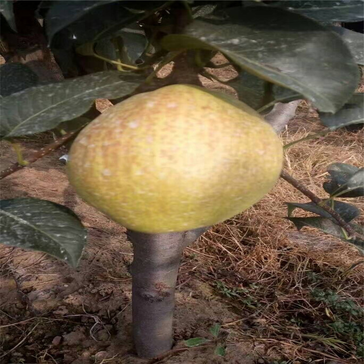 QQ圖片20160802101303