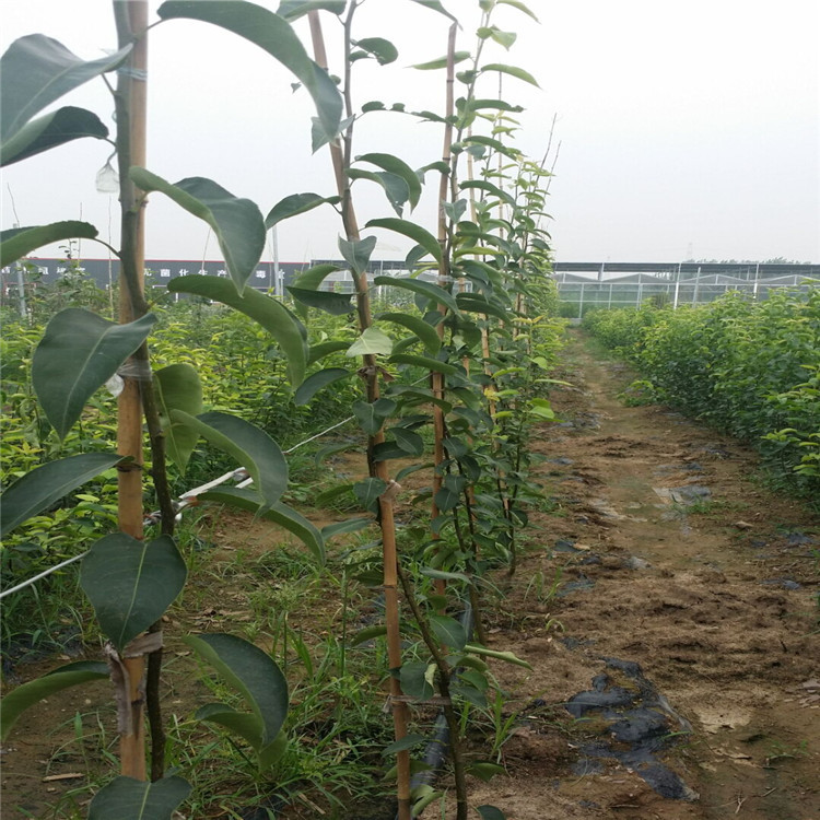 QQ圖片20160727081240