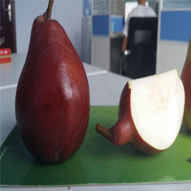 QQ圖片20160727081149