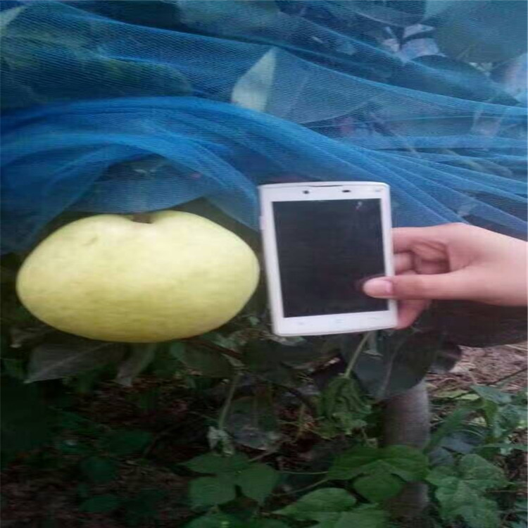 QQ圖片20160802101256