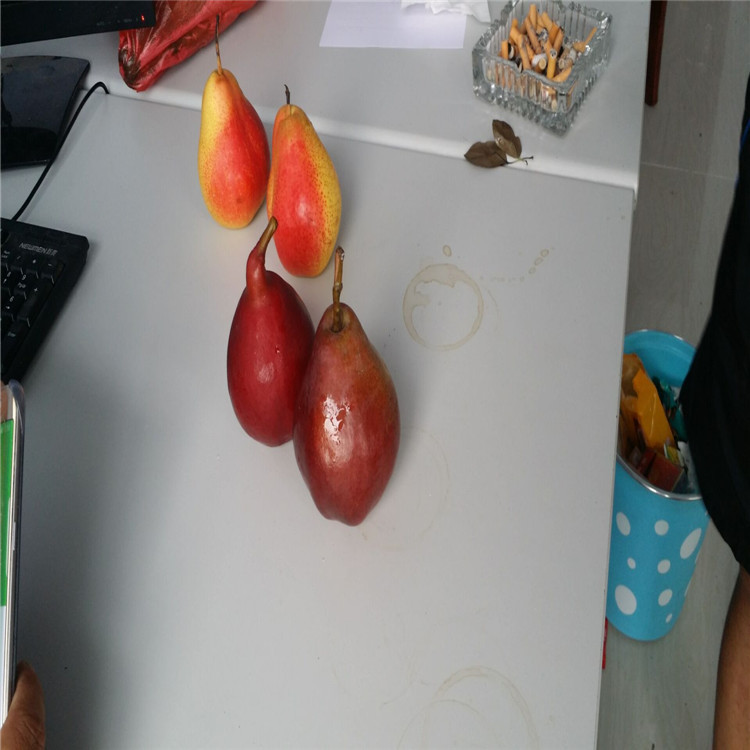 QQ圖片20160727081153