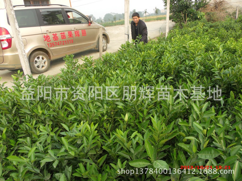 聯(lián)系方式2