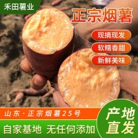 微商電商3兩~6兩山東煙蜜薯25號煙臺農科院流油紅薯農家番薯沙地