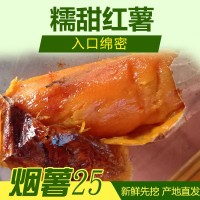 自產自銷唐山煙薯25 流油蜜薯軟糯香甜紅皮紅心煙署地瓜 烤薯