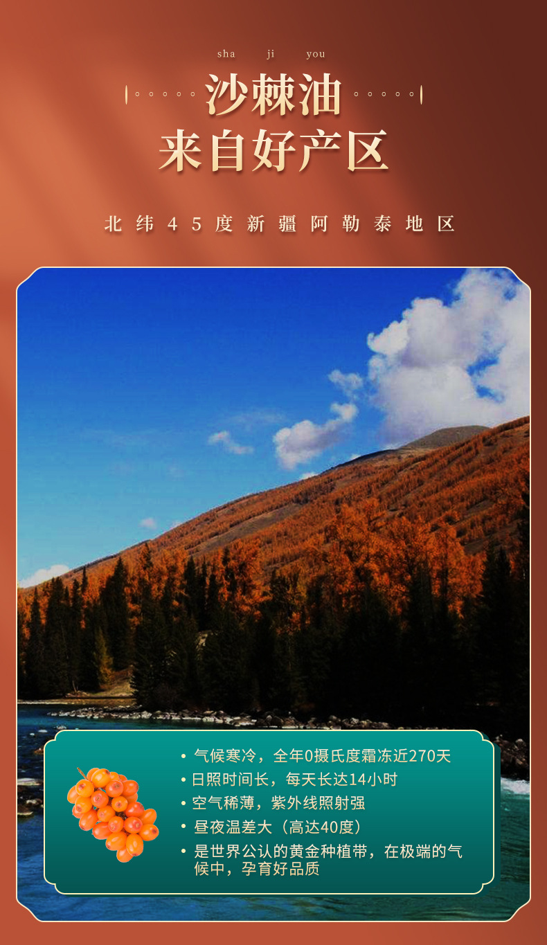 沙棘籽油詳情頁_05.jpg