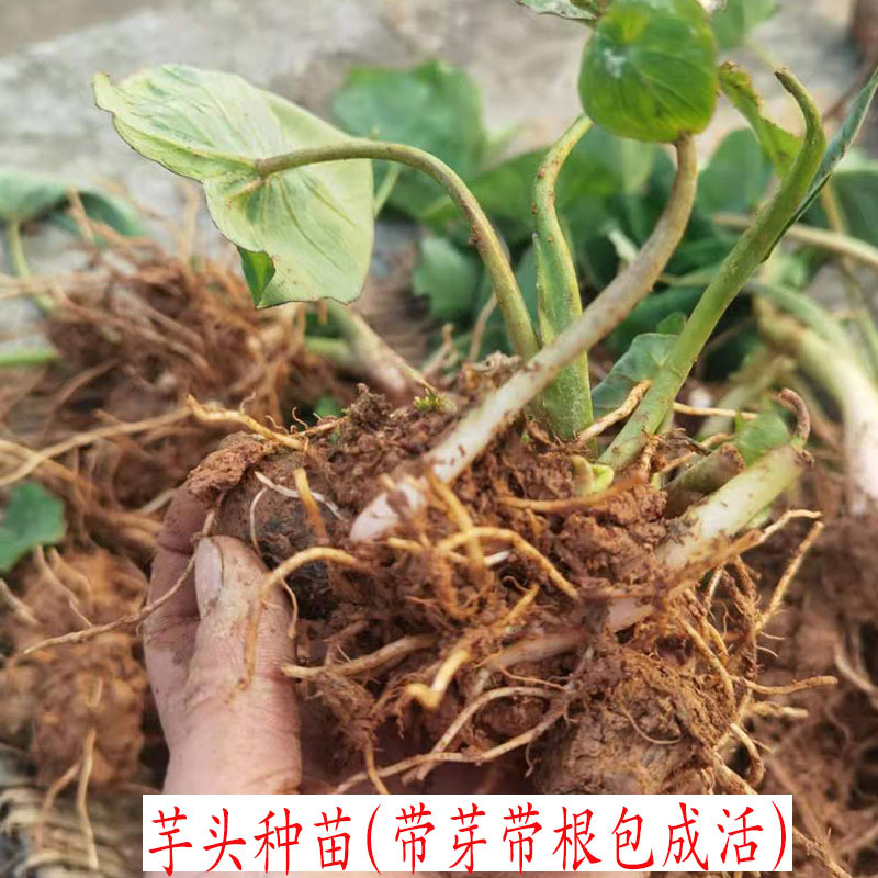 848e1f22c86e000e6cbb72b84911af