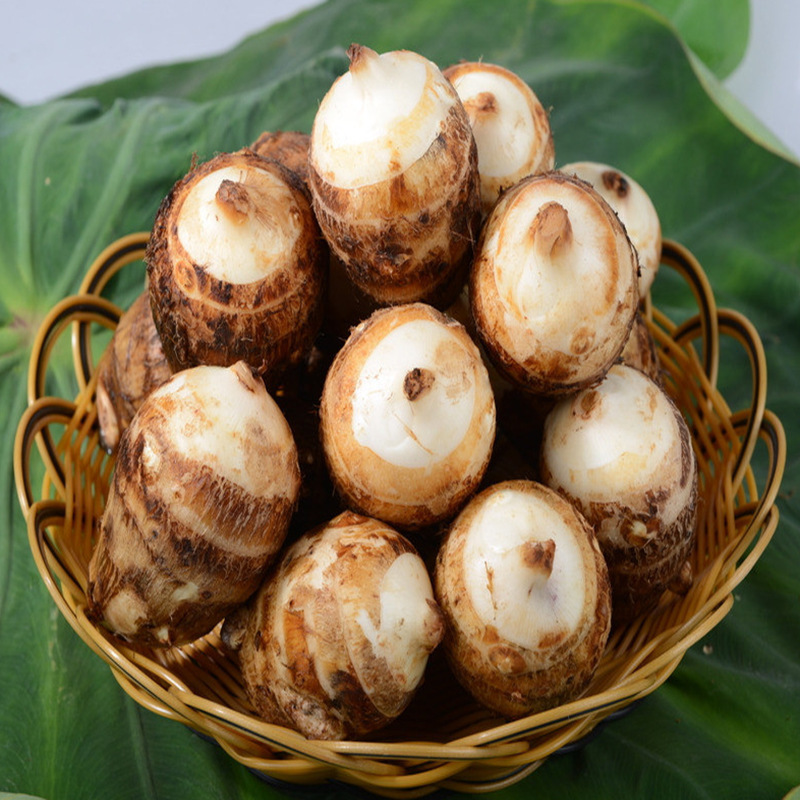 18084097_102727667173_2