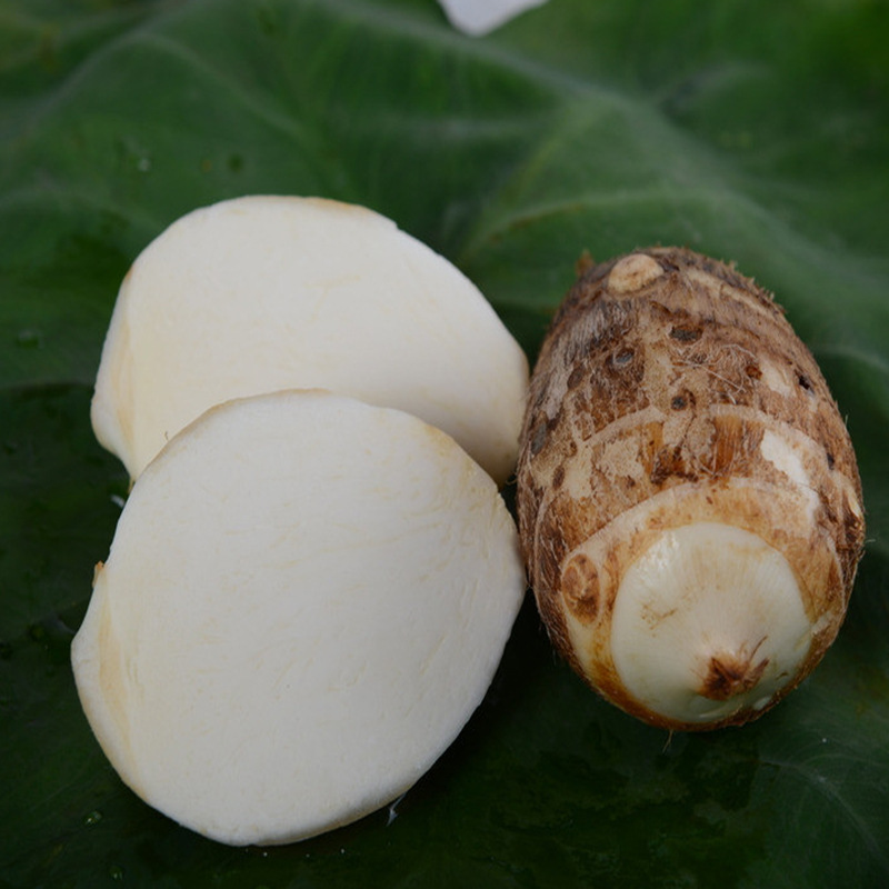 18084097_102728409177_2