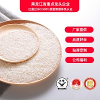 2022年新米五常稻花香大米東北大米品質好米廠家直供企業(yè)團購福利