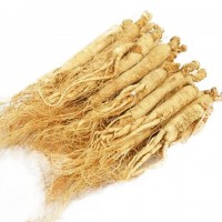 東北特產(chǎn)人參長(zhǎng)白山人參干人參白參生曬參禮盒裝林下批發(fā)產(chǎn) 地發(fā)貨
